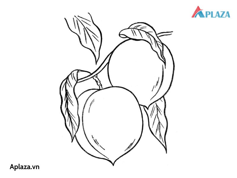 Lưu Ngay Các Mẫu Tranh Tô Màu Quả Đào Dễ Thương