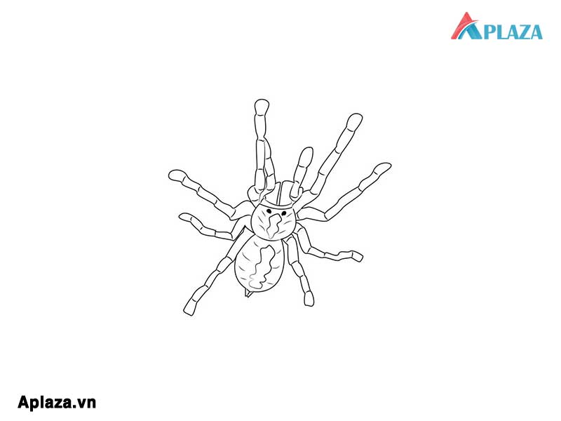 tranh tô màu con nhện cho bé