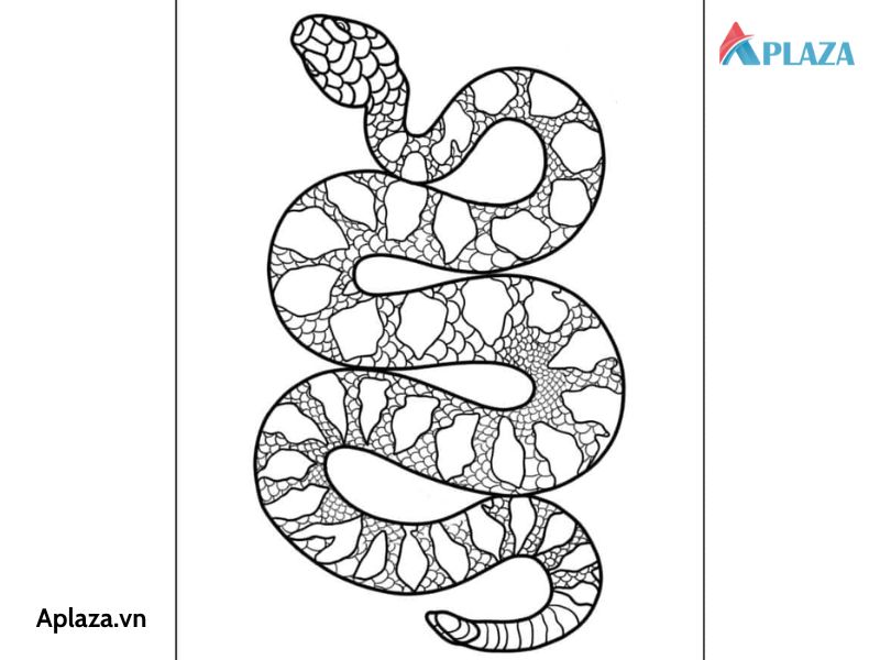 Tổng Hợp Các Mẫu Tranh Tô Màu Con Rắn Cho Bé