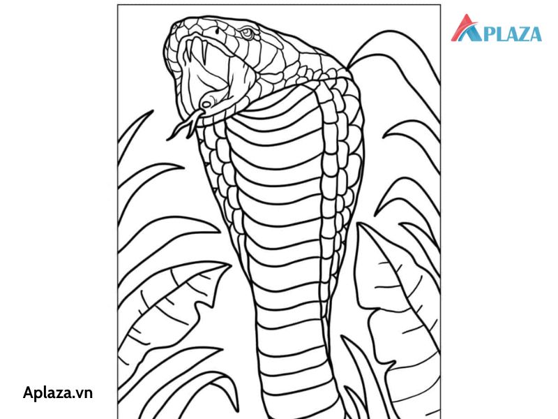 Tổng Hợp Các Mẫu Tranh Tô Màu Con Rắn Cho Bé