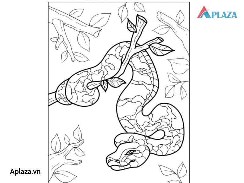 Tổng Hợp Các Mẫu Tranh Tô Màu Con Rắn Cho Bé